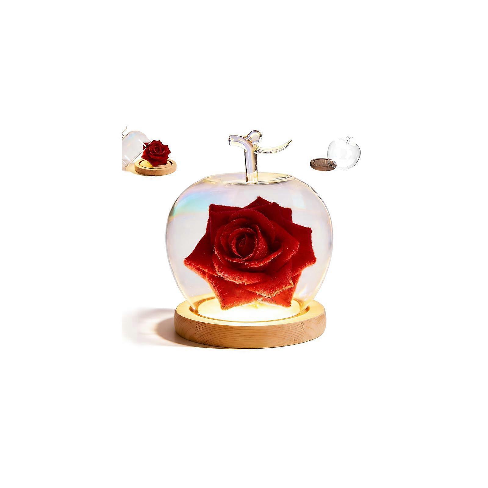 Glass Dome with LED Light and Artificial Flowers, Decorative Display Case for Home Décor, Valentine's Day Centerpiece (Offwhite)