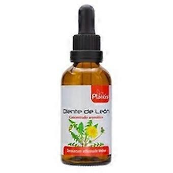 Dandelion Extract 50 ml