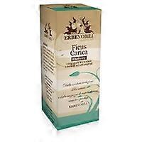 Fig tree 50 ml