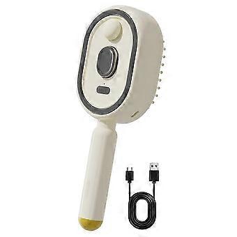 Electric Massage Hair Brush, Rechargeable Detangling Electric Steam Brushs for Hair for Reduce Frizz, Nourishes Hairs  Ver