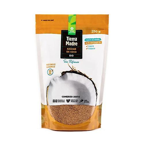 Organic Coconut Sugar 250 g