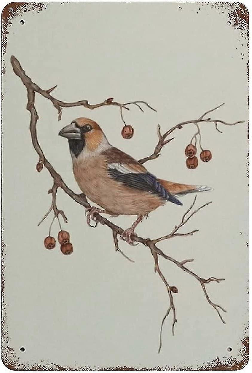 Placa de Metal Placa de Lata Cão Bicicleta de Bicicleta Vintage Placa de Metal Placa de Metal Placa de Lata 8x12 Polegadas OU 12x16 Polegadas M