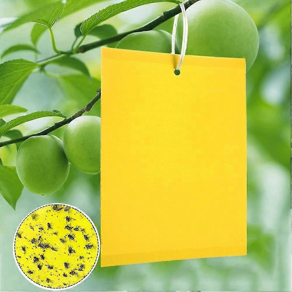 100pcs Yellow Fly Trap Professional For Cherry Raspberry Nectarine Plum Apple Pineapple Treegrape Vine