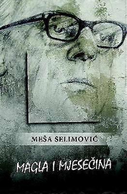 Magla i mjeseina