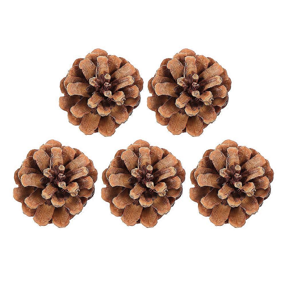 Natural Pine Cone Bird Chew Toys for Parrot Chewing Needs Coffee Color Durability 5 Pieces