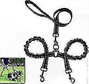 360 Tangle-Free Dual Dog Leash for Two Dogs Simultaneous Walks