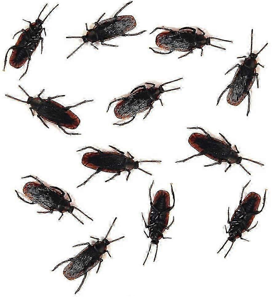 12- Fake Roaches Prank - Cockroach Bugs Look Real Black