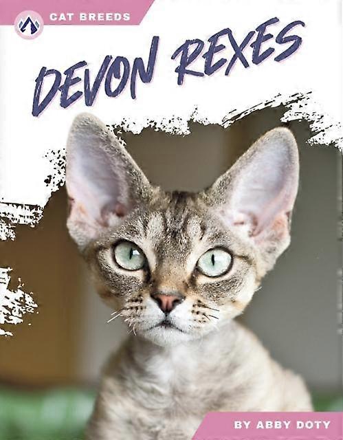 Devon Rexes - Abby Doty