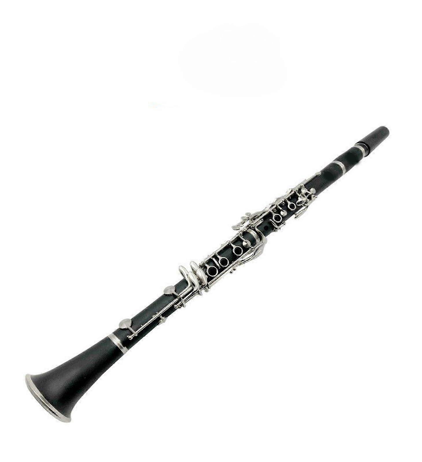 A Clarinet for Beginners with Durable Body and Protective Case