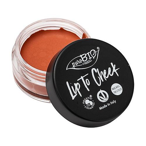 Lip to cheek 01 - lipstick & cream blush - carrot 5 g of cream