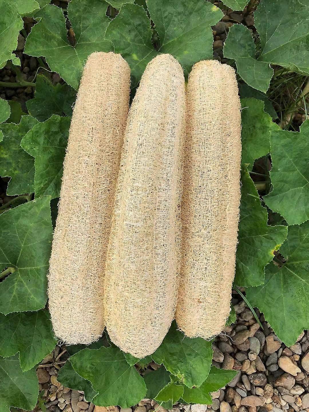 Cockroach Repellers Magic Dust Free Chalk For Cockroachs Ants 6068 Boxes