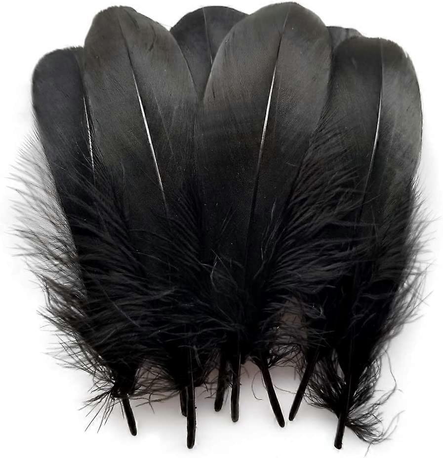 Sowder Plumas de Ganso Natural Accesorios de Ropa Pack de 100 (Negro)