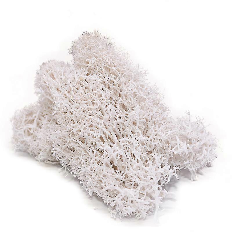 20g/bag Simulation Green Plant Artificial Moss Grass DIY Flower Material for Home Decor Mini Garden Micro Landscape Accessories