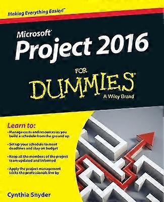 Project 2016 voor dummies