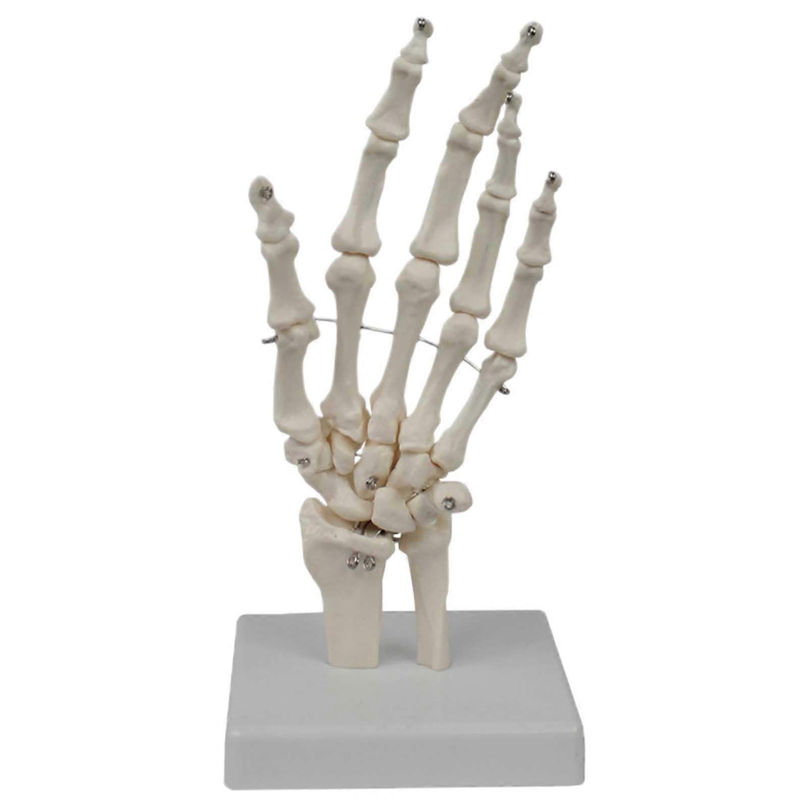 Rotating Jewelry Display Stand, 360-Degree Full View Display, Enhances Selection Experience