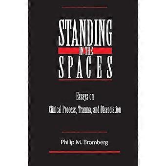 Standing in the Spaces Essays on Clinical Process Trauma and Dissociation