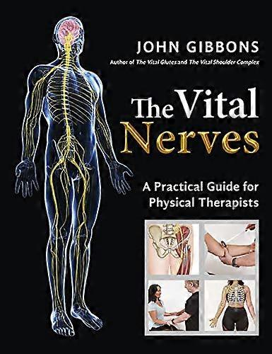 The Vital Nerves A Practical Guide for Physical Therapists