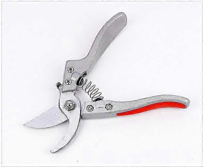 Stainless Steel Secateurs for Precise Cutting
