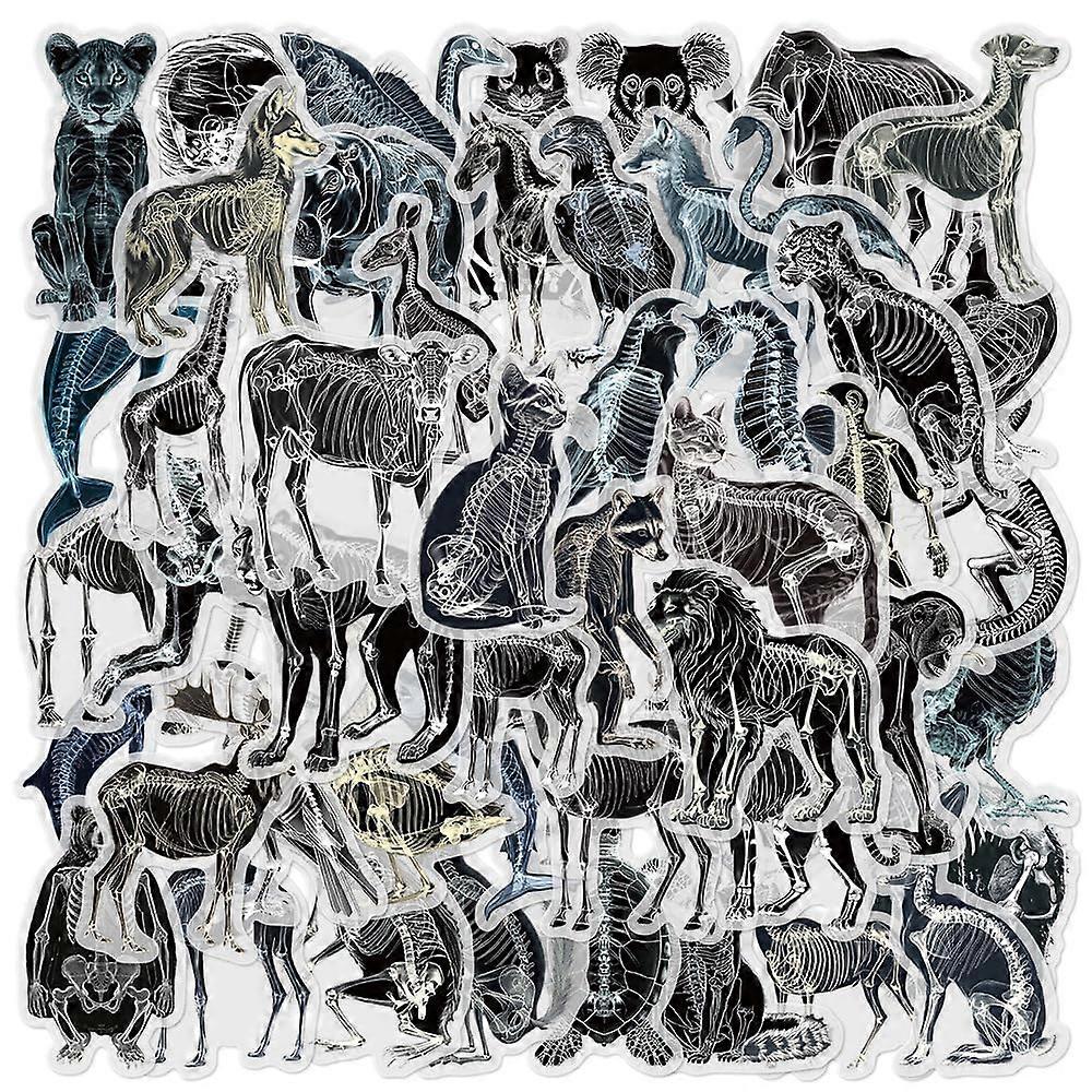 50 Pcs Transparent Animal X-Ray Skeleton Stickers for Educational Scrapbooking, Journaling, and Science Decor