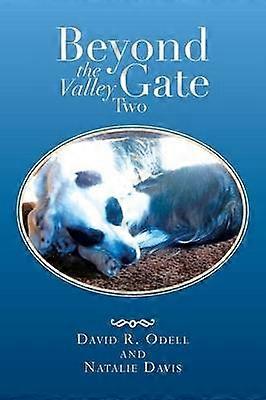 Beyond the Valley Gate Two