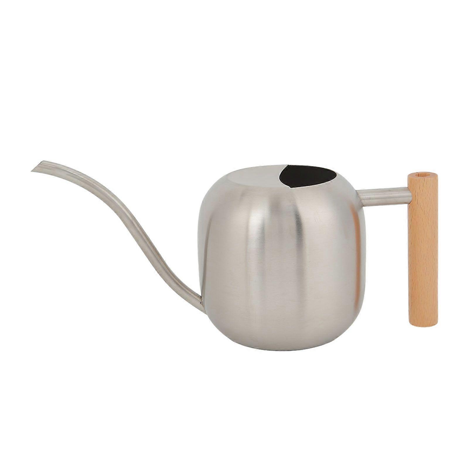 Watering Can Multipurpose High Capacity Watering Pot with Long Spout for Indoor Outdoor Plants 1200ML Silver