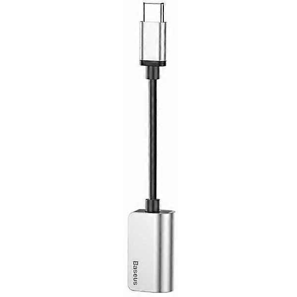 Baseus Type-C Splitter (2 in 1) Adapter for Charging and Music Silver