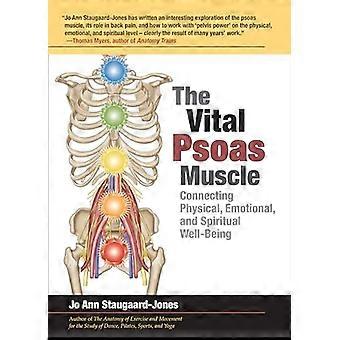 Der Vital Psoas Muskel: Verbindet körperliche, emotionale und geistige Wohlbefinden
