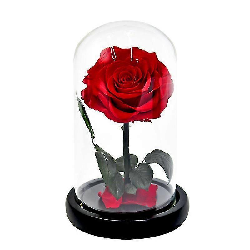 1pcs Dome Preserved Flower