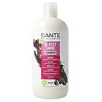 Birch shine shampoo & vegetable protein 500 ml