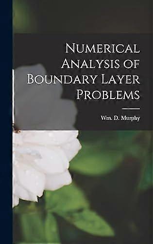Numerical analysis of boundary layer problems