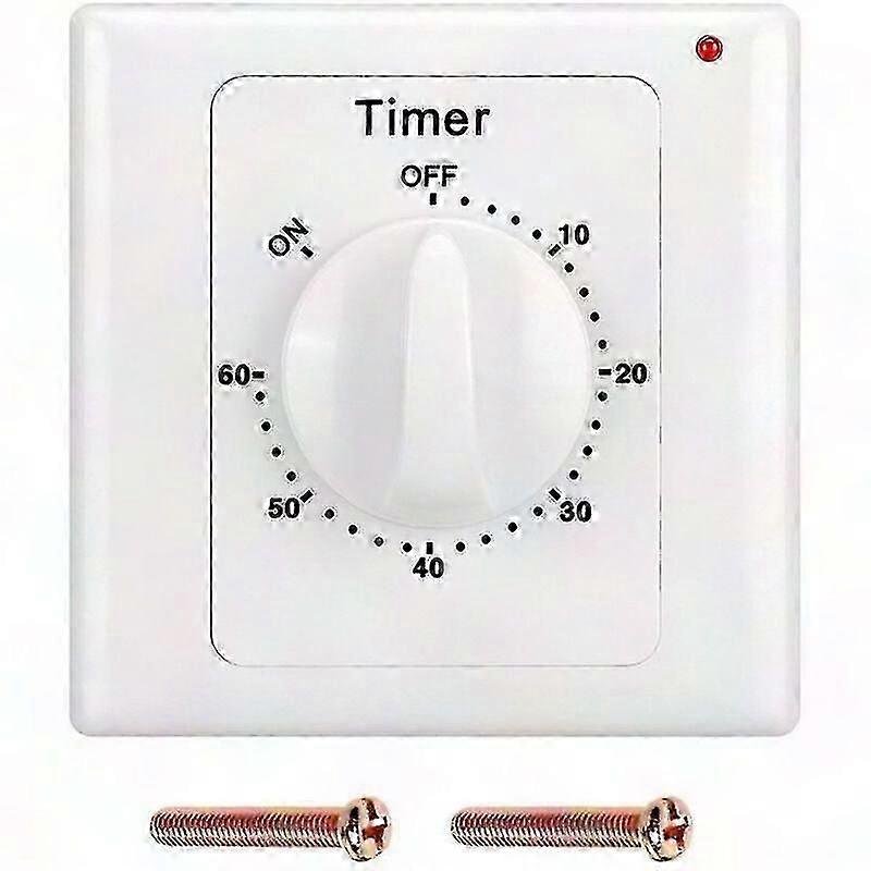 220V High Performance Pump Timer Switch with Electronic Control and 60min Countdown