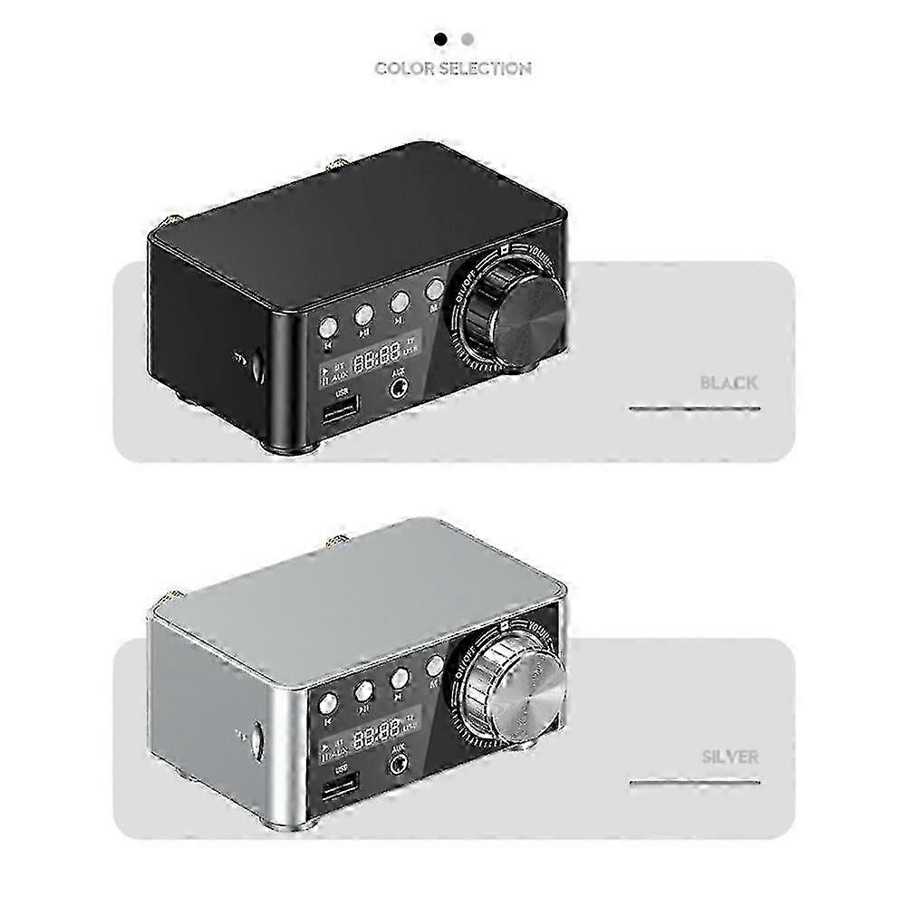 30W×2 Bluetooth 5.0 Digital Amp