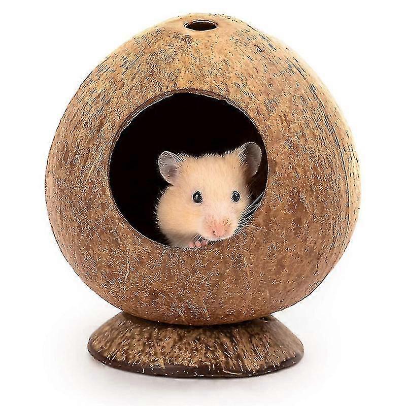 ハムスターのおもちゃは、冬のかじりの間に暖かく保つアプライアンスの巣を供給