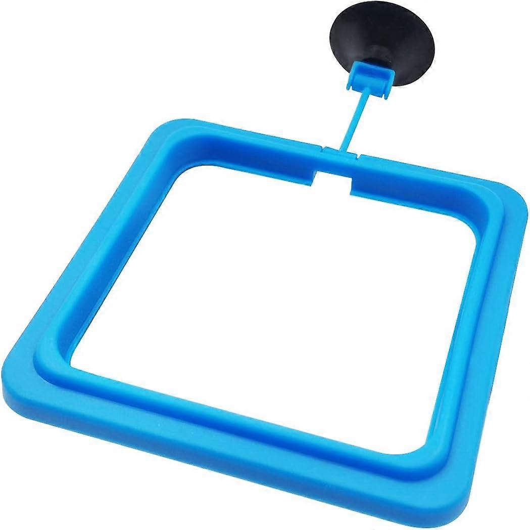 Fish Feeding Ring Floating Food Feeder Circle with Suction Cup Easy to Install Aquarium (Square)