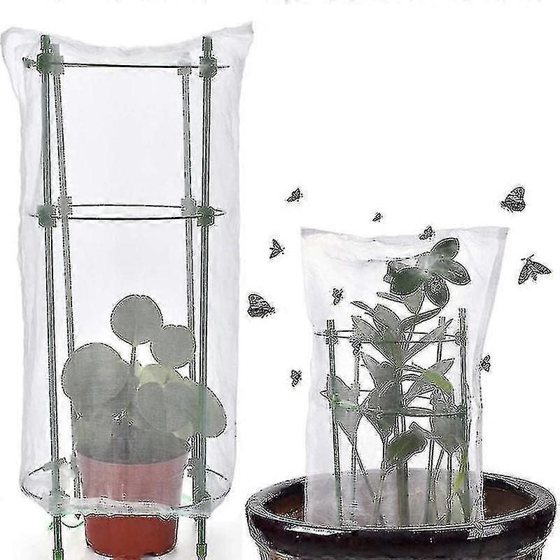 Plant Seedling Protection Cage For Preventing Insect Damage To Slender Plants Sapling Protector