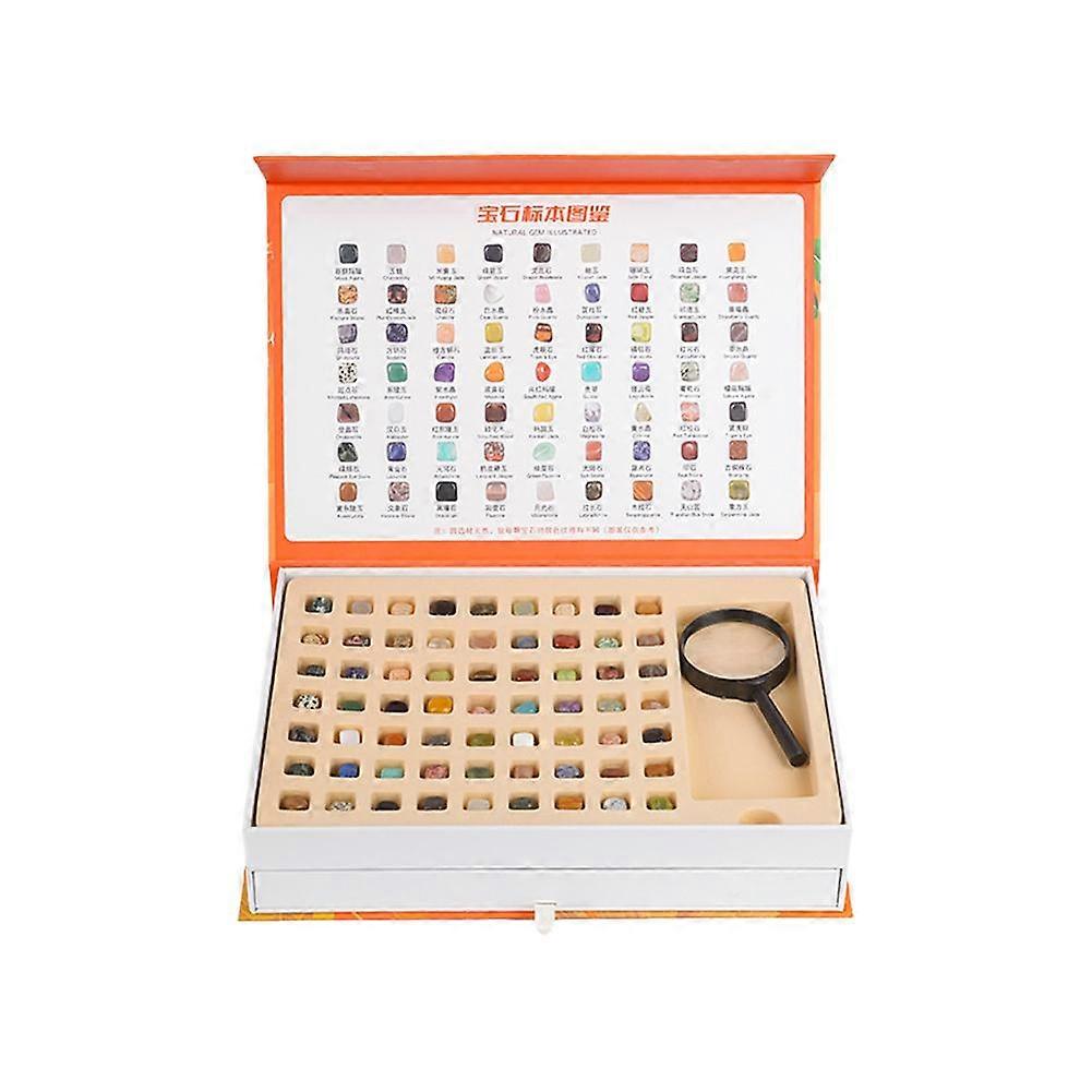 Rock And Mineral教育系列派对礼品儿童礼品