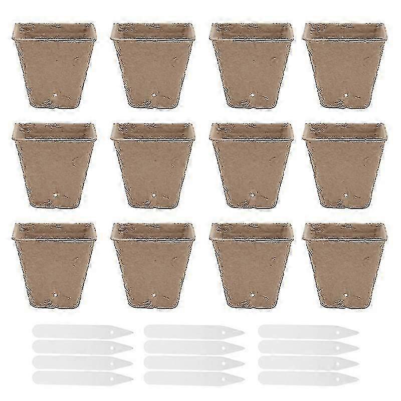 1set puutarhanhoitoruukkukasvit, taimitarhakupin istutus