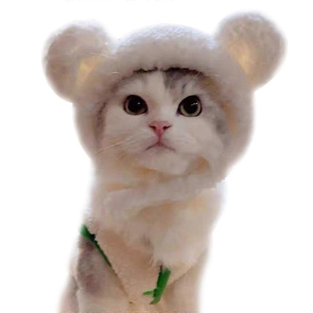 Cute Cat Simple Warm Headgear Pet Hat