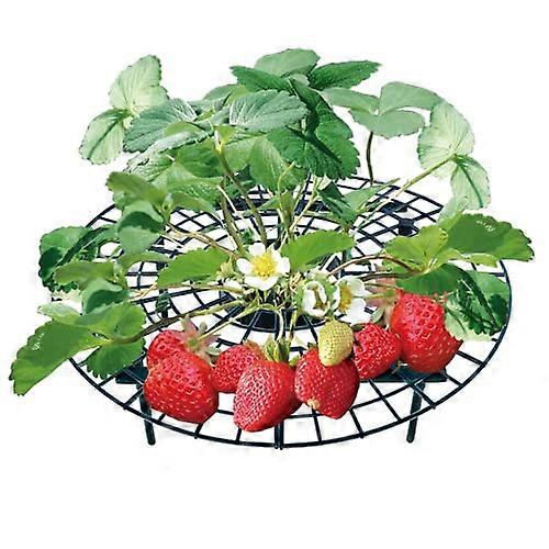 Strawberry Ripening Set Adjustable Plastic Ripper Trellis Strawberries Snail Guard Strawberry Grid Rot Mold Pack Of 5