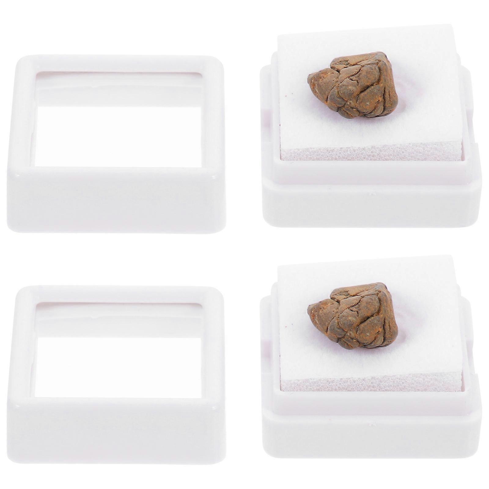 2Pcs Lithosiderite Meteorite Adornment for Decoration Teaching Specimen Set