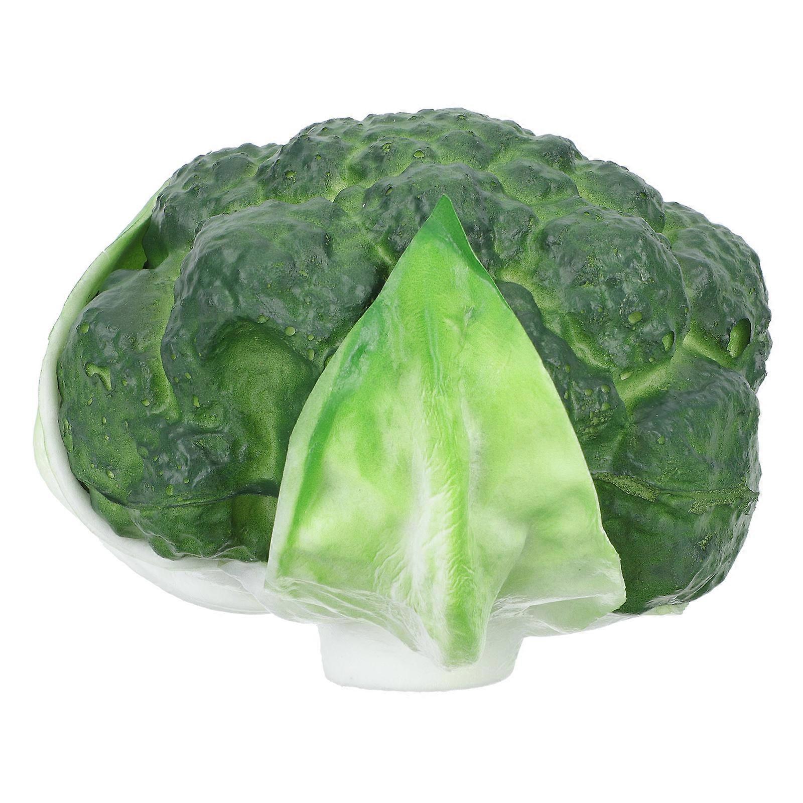 Realistic Broccoli Model Simulation Decoration for Display Prop