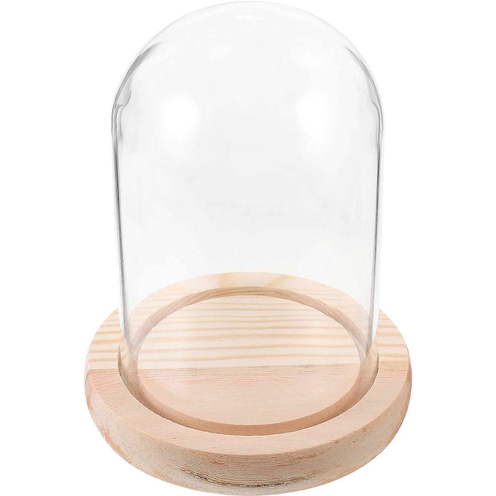 Glass Dome Preserved Flower Display Dome with Base for Decor