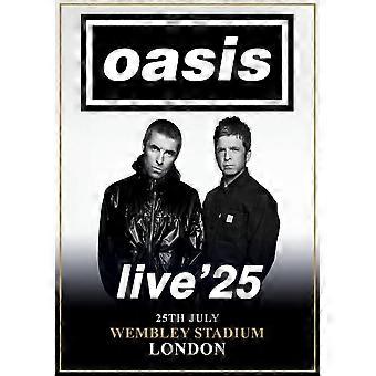Oasis UK Tour Wembley Londres 25 de julio de 2025 Rompecabezas Acertijo ZA1280
