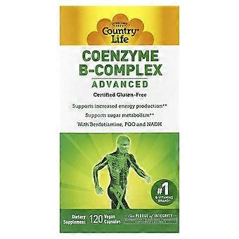 Country Life, Coenzyme B-Complex, Advanced, 120 Vegan Capsules
