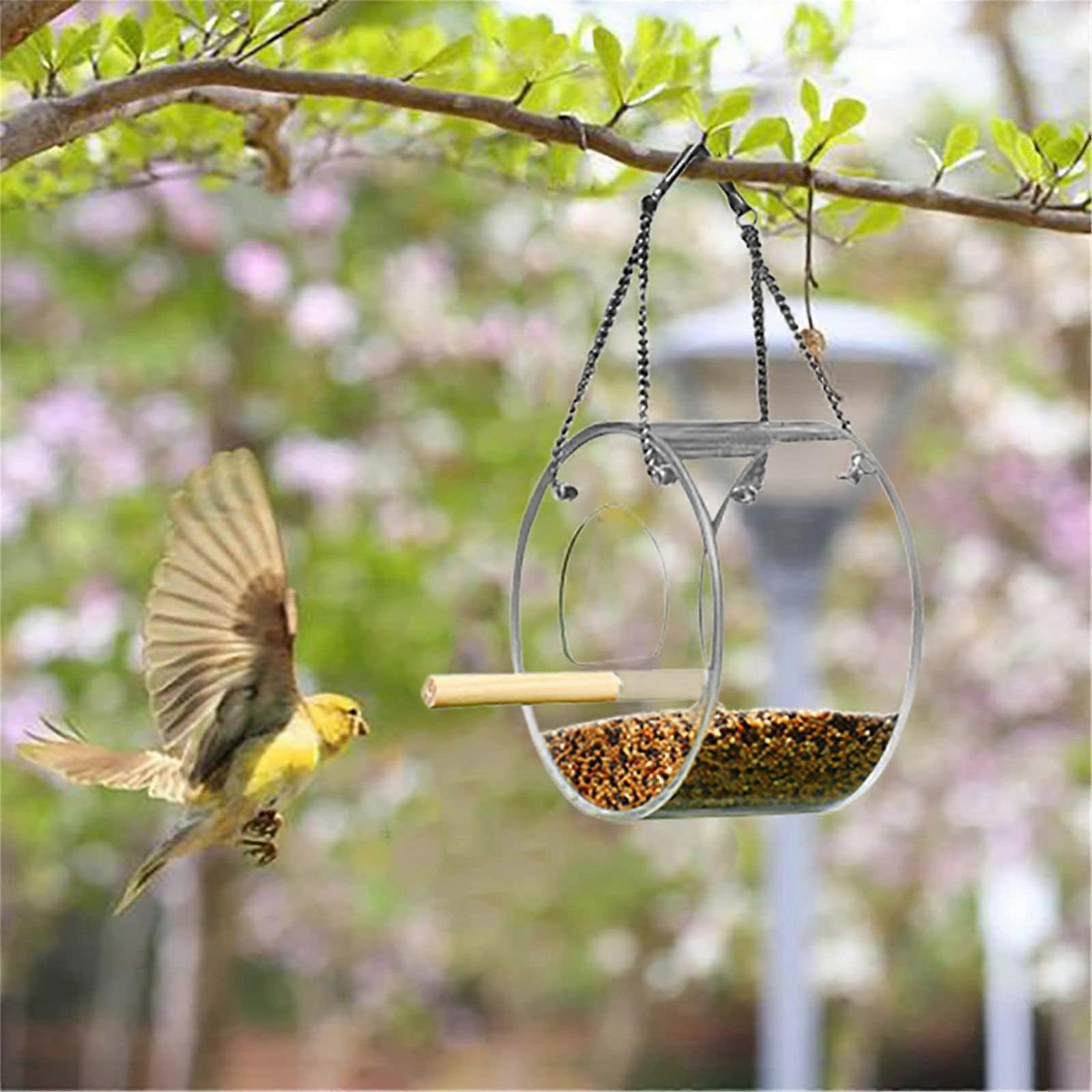 Window Bird Feeder with Suction Cups