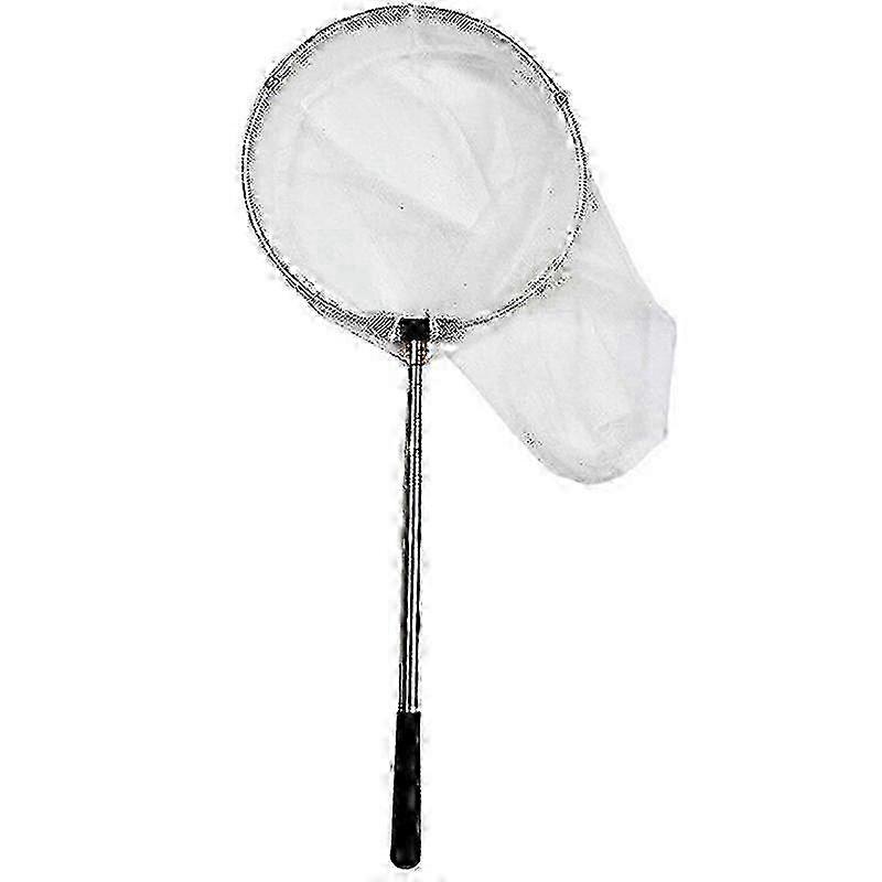 Telescopic Butterfly Net 12" Ring 24" Deep