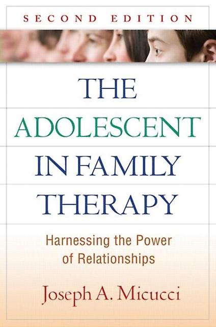 The Adolescent In Family Therapy Second Edition by Joseph A. Micucci Hardback Book