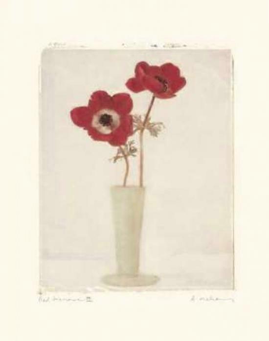 Red Anemones II Poster