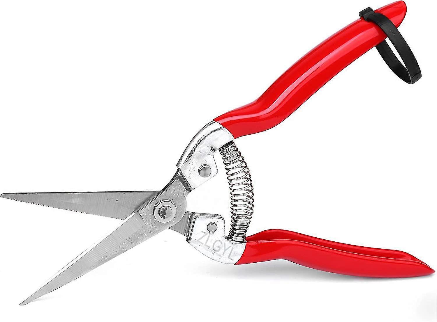 Professional Pruning Shears With Micro Tips, Small Pruning Shears And Scissors For The Garden, From Harvesting Fruit And Vegetables