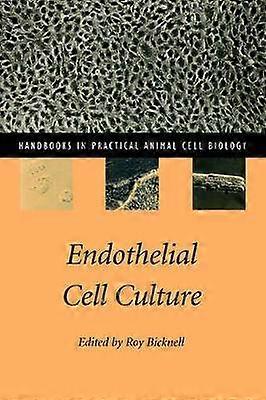 Culture de cellules endothéliales